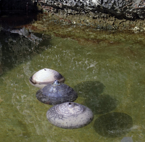 Floating Whispering Globes from the Salento Series